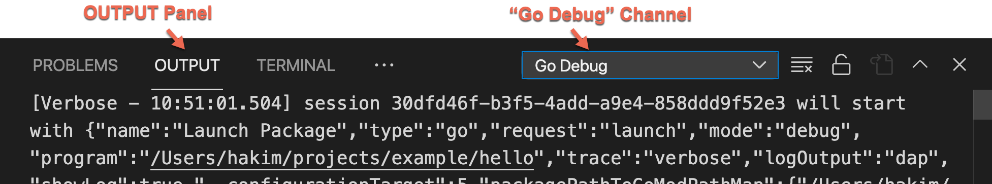 Go Debug output
channel